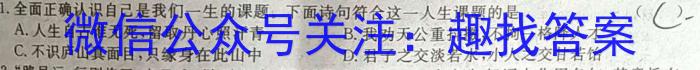 2023年安徽A10联盟高三4月联考s地理