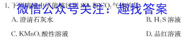 陕西省2023年第五次中考模拟考试练习化学