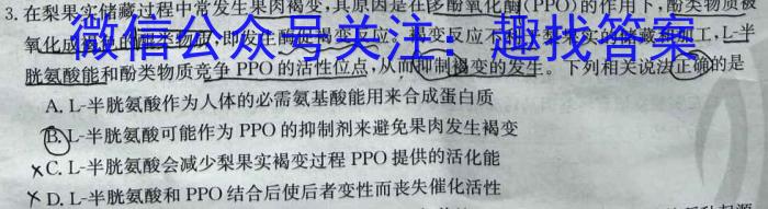 青桐鸣高考冲刺2023年普通高等学校招生全国统一考试冲刺卷(四)生物