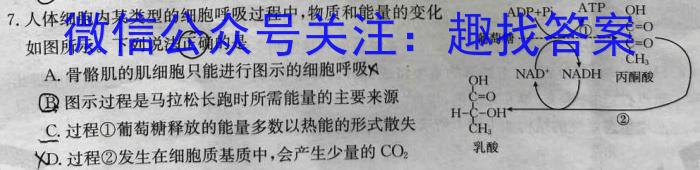 九师联盟2022-2023学年高三3月质量检测(L)生物试卷答案