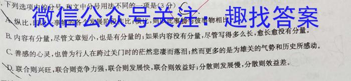 2023年云南大联考4月高二期中考试（23-412B）语文