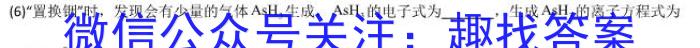 2023年陕西省初中学业水平考试全真模拟（三）C版化学