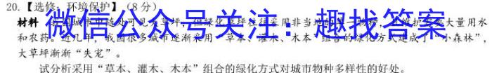 2023年陕西省九年级联盟卷（B卷）s地理