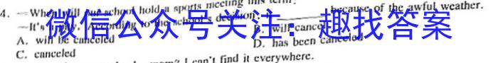 2023年陕西省初中学业水平考试全真模拟试题A版英语