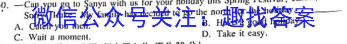 2023届河南省中考适应性检测卷（23-CZ139c）英语