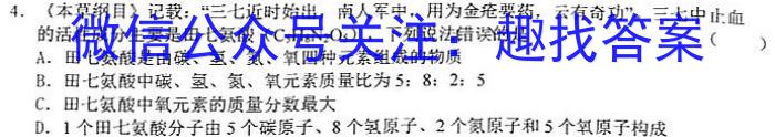 2023年陕西省初中学业水平考试全真模拟试题A版化学