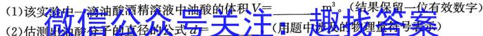 安徽鼎尖教育2023届高二4月期中考试物理.