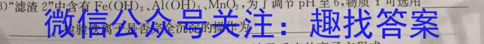 中考仿真卷2023年山西省初中学业水平考试(四)化学