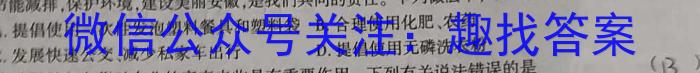 广东省2022-2023学年高一年级第二学期四校联盟期中检测化学