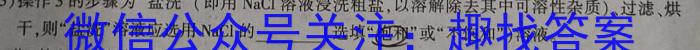 大联考·三晋名校联盟2022-2023学年高中毕业班阶段性测试（五）【山西专版】化学
