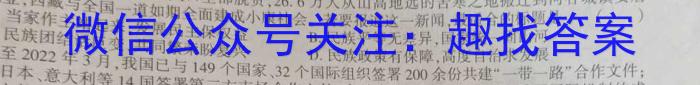 2023年河南大联考高三年级4月联考（478C-A·HEN）政治试卷d答案