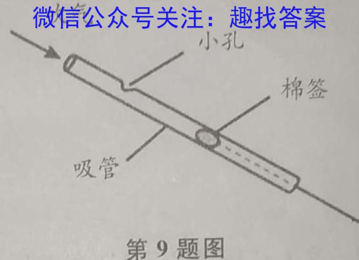 名校之约•安徽省2023年中考导向八年级学业水平测试（五）l物理