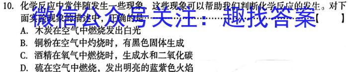 2023年陕西省初中学业水平考试•全真模拟（三）A版化学