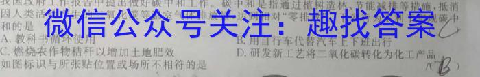 2023年陕西省初中学业水平考试全真模拟（三）C版化学