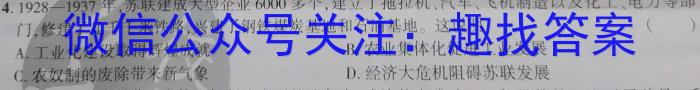 周至县2022-2023学年度高考第二次模拟考试历史