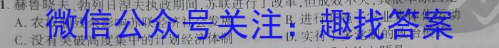 九师联盟2023年江西省高一下学期期中考试政治~