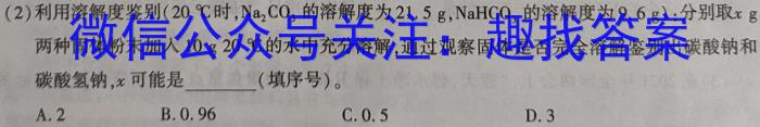 中考必刷卷·2023年名校压轴卷一化学