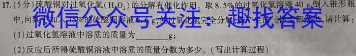 2023年普通高等学校招生全国统一考试·调研模拟卷XK-QG(六)化学