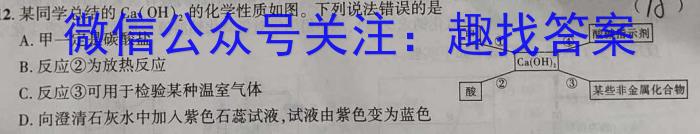 安徽省2023年无为市九年级中考模拟检测（二）化学