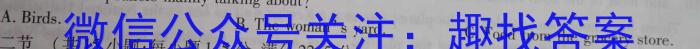 江西省2024-2023学年度九年级复习卷（一）英语