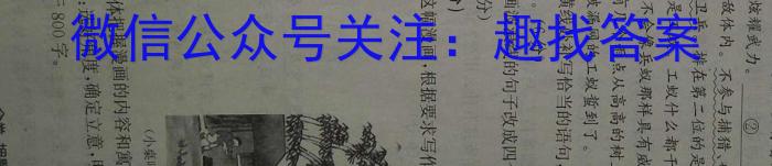 名校之约•安徽省2023年中考导向八年级学业水平测试（五）语文