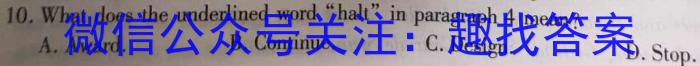 2023年云南大联考4月高二期中考试（23-412B）英语