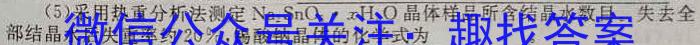 2023年陕西省初中学业水平考试·全真模拟（六）化学