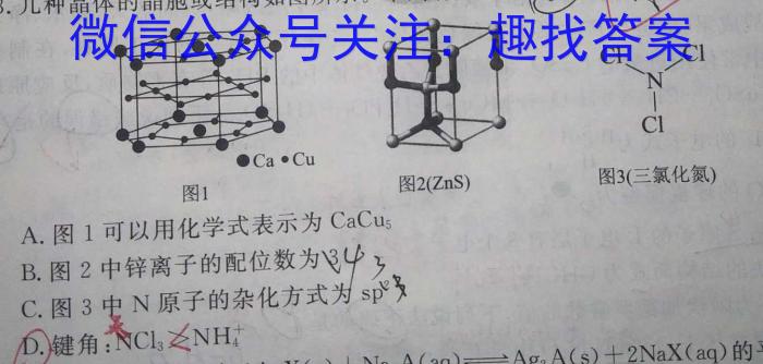 安徽省涡阳县2023届九年级第一次质量监测化学