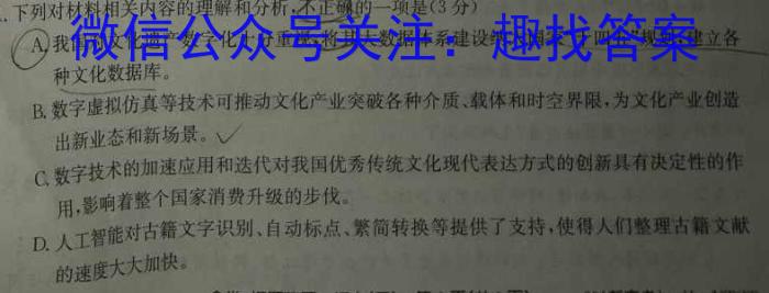 2023年“安徽省示范高中皖北地区”第25届高三联考（3月）语文