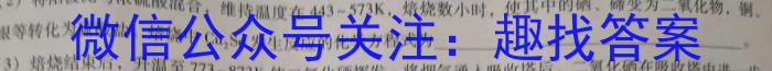 陕西省2023年初中学业水平考试模拟试题（二）化学