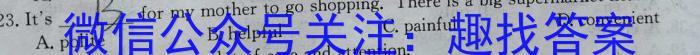 安徽省2023年初中毕业学业考试模拟试卷英语