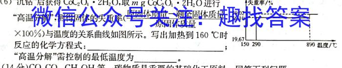 安师联盟2023年中考权威预测模拟考试（九）化学