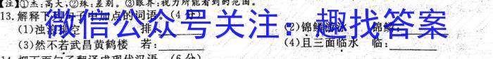 2022-23年度信息压轴卷(新)(四)语文