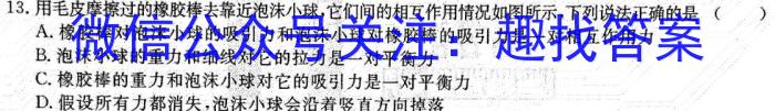 2022-2023学年度下学期高三年级第二次综合素养评价(HZ)l物理