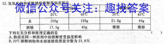 学林教育2023年陕西省初中学业水平考试·名师导向模拟卷(一)A化学
