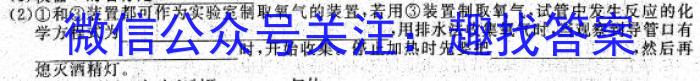 2022-2023学年陕西省八年级期中教学质量检测(23-CZ162b)化学