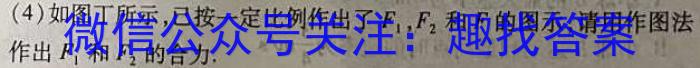 秦都区2023年九年级第一次模拟（4月）l物理