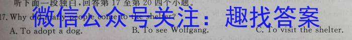 2023届河南省中考适应性检测卷（23-CZ139c）英语