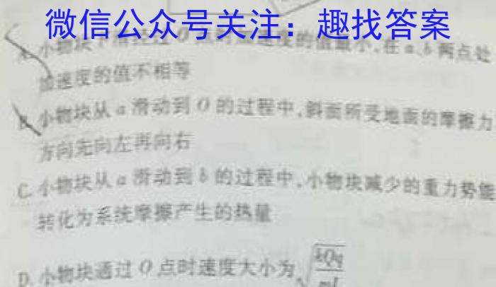 云南师大附中(师范大学附属中学)2023届高考适应性月考卷(九).物理