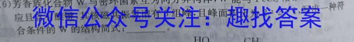 陕西省九年级联盟卷(23-CZ118c)化学
