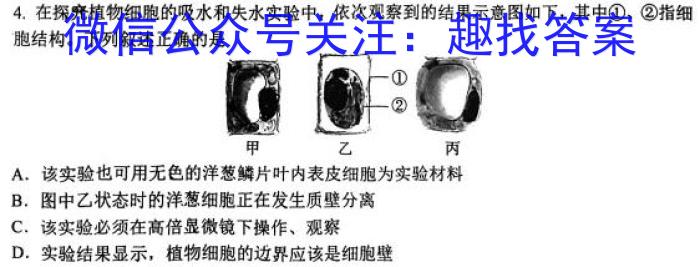 2023高考冲刺试卷 新高考(一)生物试卷答案