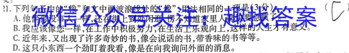 河北省2023年普通高等学校招生全国统一考试仿真模拟卷(四)语文