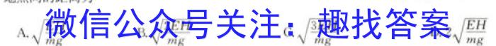 2023年普通高等学校招生全国统一考试 23·JJ·YTCT 金卷·押题猜题(十)f物理