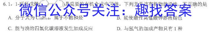 中考必刷卷·2023年安徽中考第一轮复习卷（十）化学