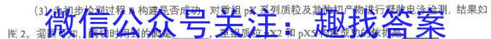 安徽省2024届八年级下学期教学质量监测（六）生物