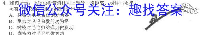 2023年陕西省初中学业水平考试全真预测试卷A版（二）.物理
