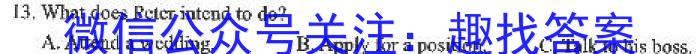 皖智教育 安徽第一卷·百校联盟2023届中考大联考英语