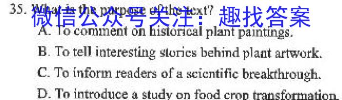 河南省三门峡市2023年中招第一次模拟考试英语