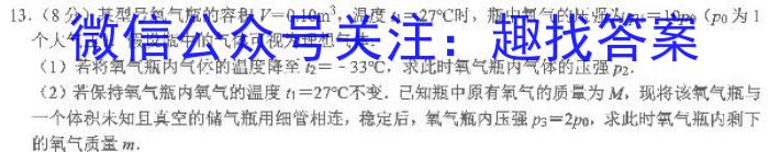 2023年湖北省新高考信息卷(一).物理