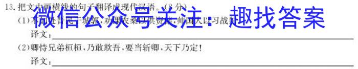 中考必刷卷·2023年安徽中考第一轮复习卷（八）语文